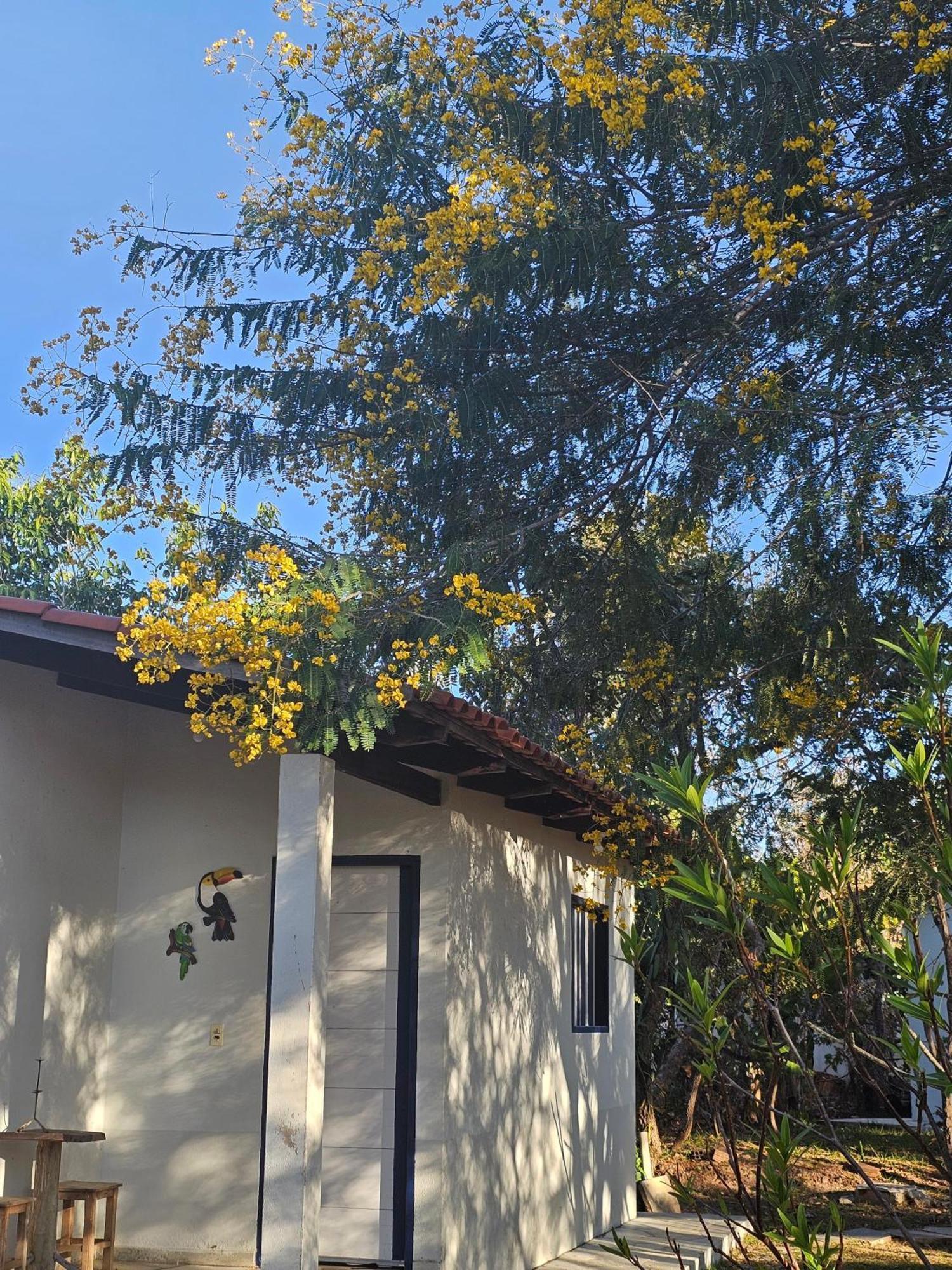 Estancia Morro Do Frota Pirenópolis Zewnętrze zdjęcie